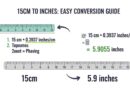 15cm to inches