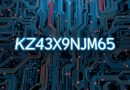 kz43x9nnjm65